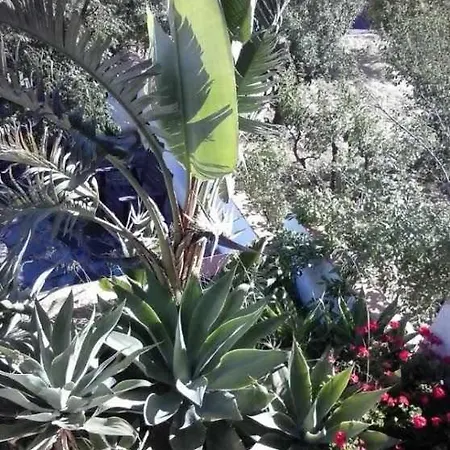 Cascaras Gran Canaria * Tejeda (Gran Canaria)