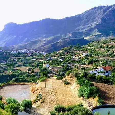 Cascaras Gran Canaria *